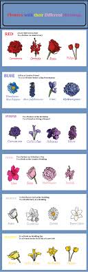 flowers with their meaning visual ly