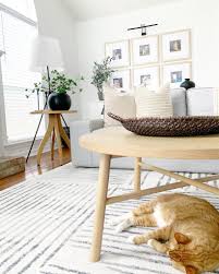 area rugs common questions answered