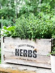 how to plant a container herb garden