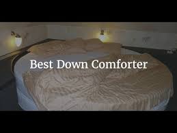 best down comforter you