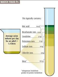 Urine Glucose Dipstick And Copper Sulfate Method Spills