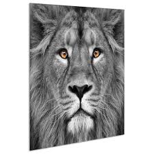 Lion Tiger Glass Wall Art Printed