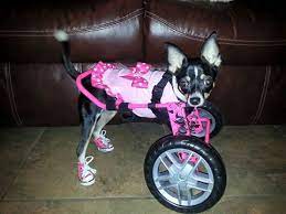 front support dog wheelchair custom
