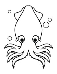 See the presented collection for squid coloring. Pin On Coloring Pages
