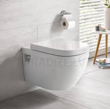 Grohe Wc Wall Hung Toilet Euroceramic