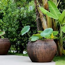 Whole Garden Plant Pots