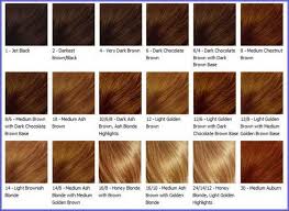 28 Albums Of Types Of Hair Color Brown Explore Thousands