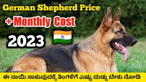 german shepherd dog monthly expenses