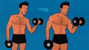 muscle building for skinny guys