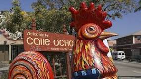 why-are-there-chickens-in-little-havana