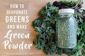 Diy Homemade Green Powder From Dehydrated Greens The