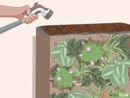 How To Make A Living Wall 14 Steps