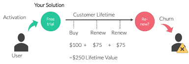 Customer Lifetime Value How You