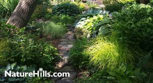 Pre Planned Shade Garden Recipes For