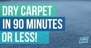 driganic carpet cleaning services in