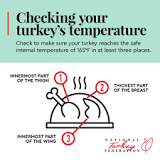 where-do-you-stick-thermometer-in-turkey