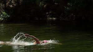 open water swimming what to know about