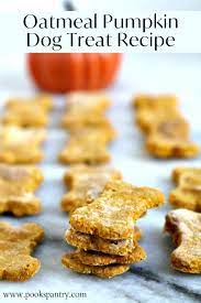 oatmeal pumpkin dog treat recipe pook