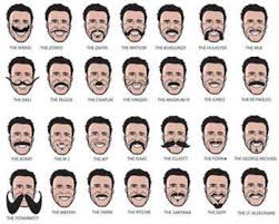 Types Of Mustaches Pictures 2017 Beard Style Guide For