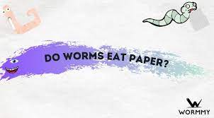 do worms eat paper cardboard