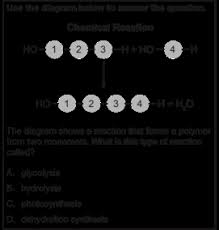 Many chemical reactions can be classified as one of five basic types. Https Www Philasd Org Curriculum Wp Content Uploads Sites 825 2017 10 Bio Unit 2 The Chemical Basis For Life Pdf
