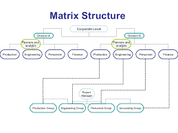 Company Organization Structure Chart Sada Margarethaydon Com