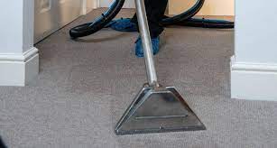 professional carpet cleaning in south