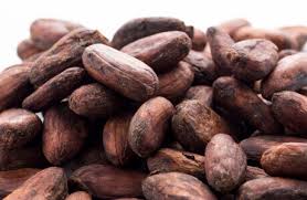 cacao beans nibs nutrition facts