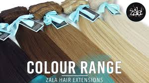 Zala Hair Extensions Full Colour Range