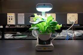 miracle gro aerogarden 3 sl review pcmag