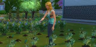 The Sims 4 Gardening Skill Plant