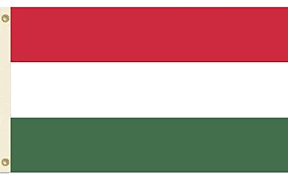 Streaker with rainbow flag during the hungarian anthem. Vista Flags 3x5 Hungary Flag Hungarian Polyester Country Flag 3 X 5 Buy Online At Best Price In Uae Amazon Ae