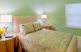 what color bedding goes with green