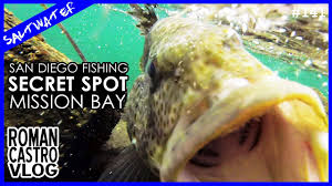 Name (# of reports) last update: San Diego Fishing At Mission Bay Secret Hot Spot And Challenge Youtube