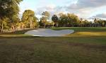 Tampa Bay Golf - Dunedin Golf Club - 727 733 2134