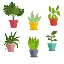 Potted Plant Vector Art Icons And