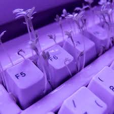 Image result for purple aesthetic