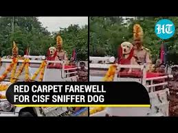 sniffer dog retires cisf personnel