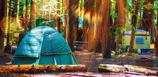 stay near redwood national park