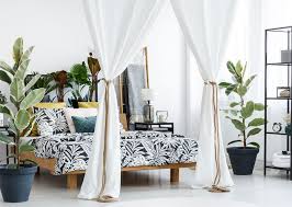 Canopy Bedroom Design Ideas Flooring