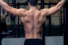 Focus on training the muscles everyone can see and neglect the ones they can't. 3 Workouts For A Shredded Back