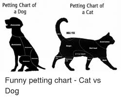 Petting Chart Of A Dog Petting Chart Of A Cat Awesome Hell