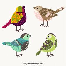 Ręcznie Rysowane Kolorowe Ptaki Geometryczne | Darmowy Wektor