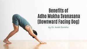 benefits of adho mukha svanasana