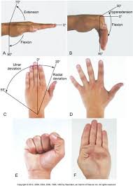 Normal Rom Of The Wrist And Hand Reference Chart Physical