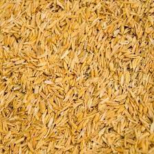 One of the constituent parts. Rice Husk At Rs 5300 Metric Ton Rice Husk Id 14677595648