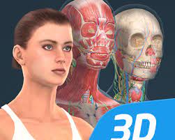 The 3d chat allows full conversations, way beyond instant messages. Human Body Female Educational Vr 3d Apk Free Download For Android
