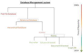 types of database management system