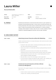 A brand new executive resume template for you're a corporate job which you are looking for. Account Executive Resume Writing Guide 12 Templates Pdf 20