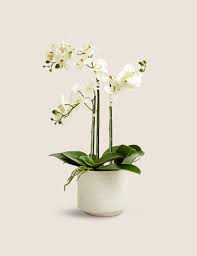 umělá orchidej v květináči bílá
